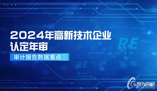 2024年高新技術(shù)企業(yè)認(rèn)定年審—審計報告數(shù)據(jù)重點.jpg