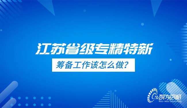 江蘇省級(jí)專(zhuān)精特新的籌備工作該怎么做？.jpg